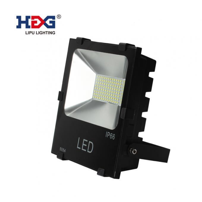 LFL013-100 W.